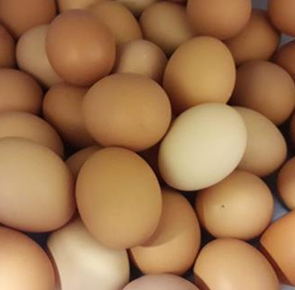 Ovos Caseiros - 1 dúzia