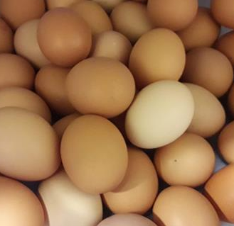 Ovos Caseiros - 1 dúzia